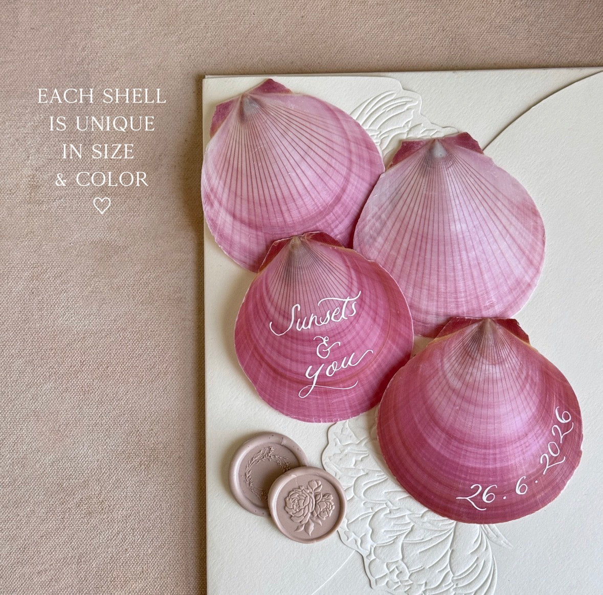 Pink Round Shells