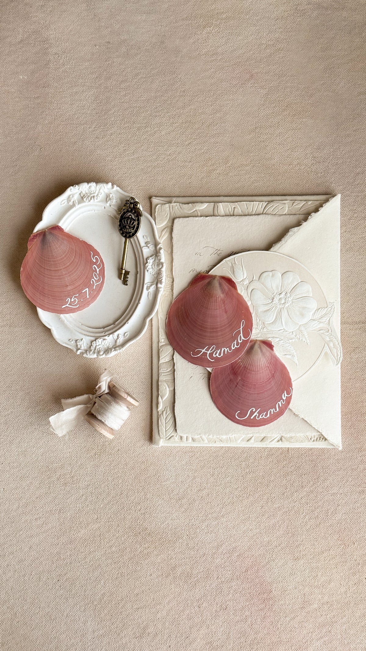 Peach Round Shells