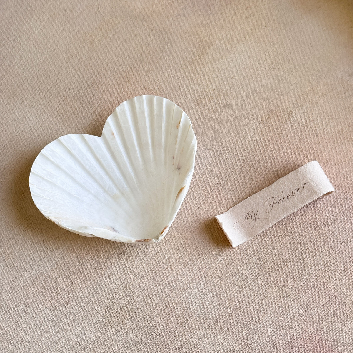 Heart Shell Love Note
