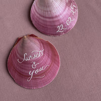 Pink Round Shells