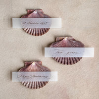 Love Note Shell Stand