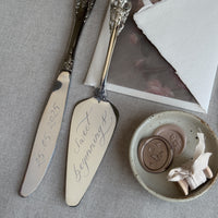 Silver Cake Cutter Set