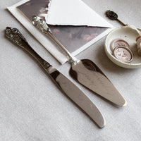 Silver Cake Cutter Set
