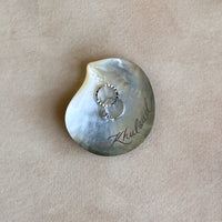 Shell Jewelry Dish