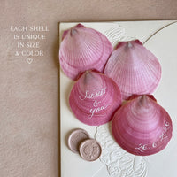Pink Round Shells