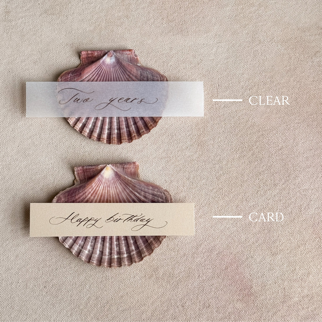 Love Note Shell Stand