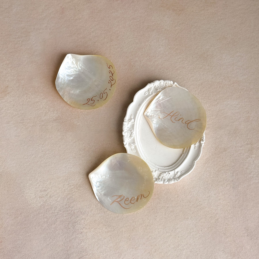 Pearl White Shells
