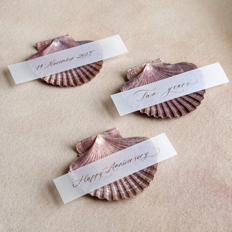 Love Note Shell Stand