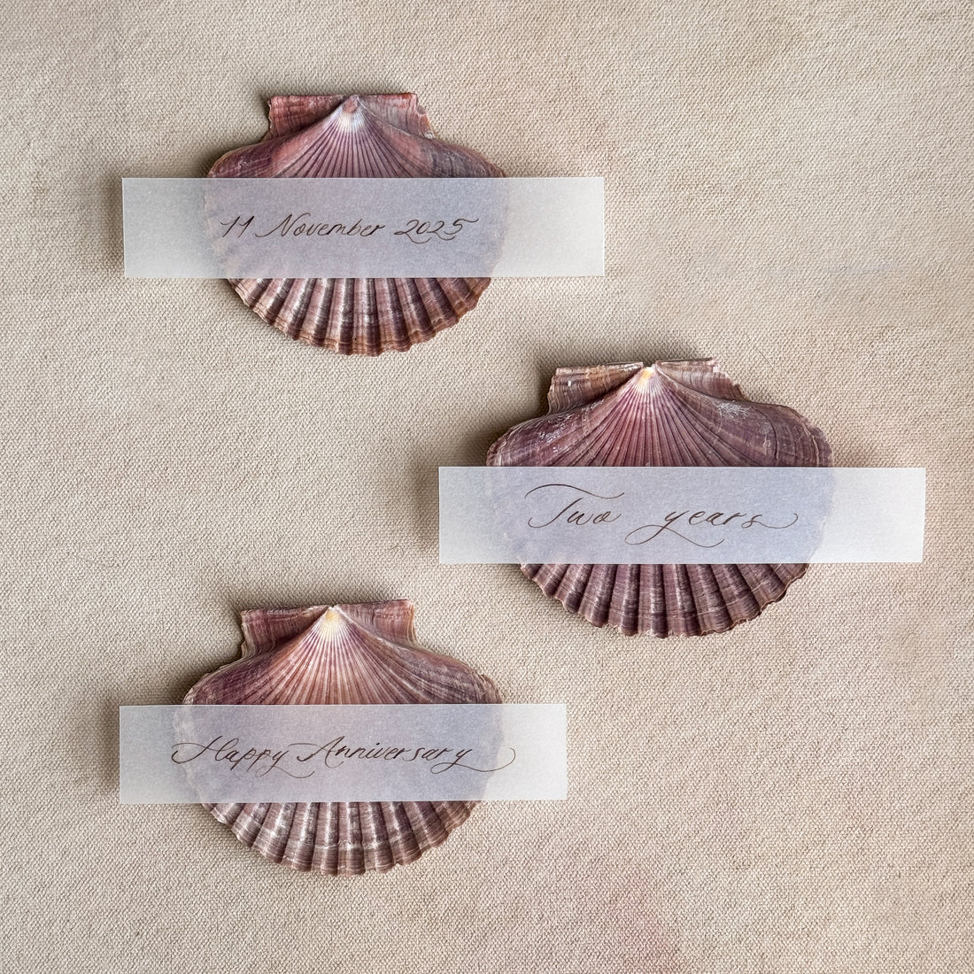 Love Note Shell Stand