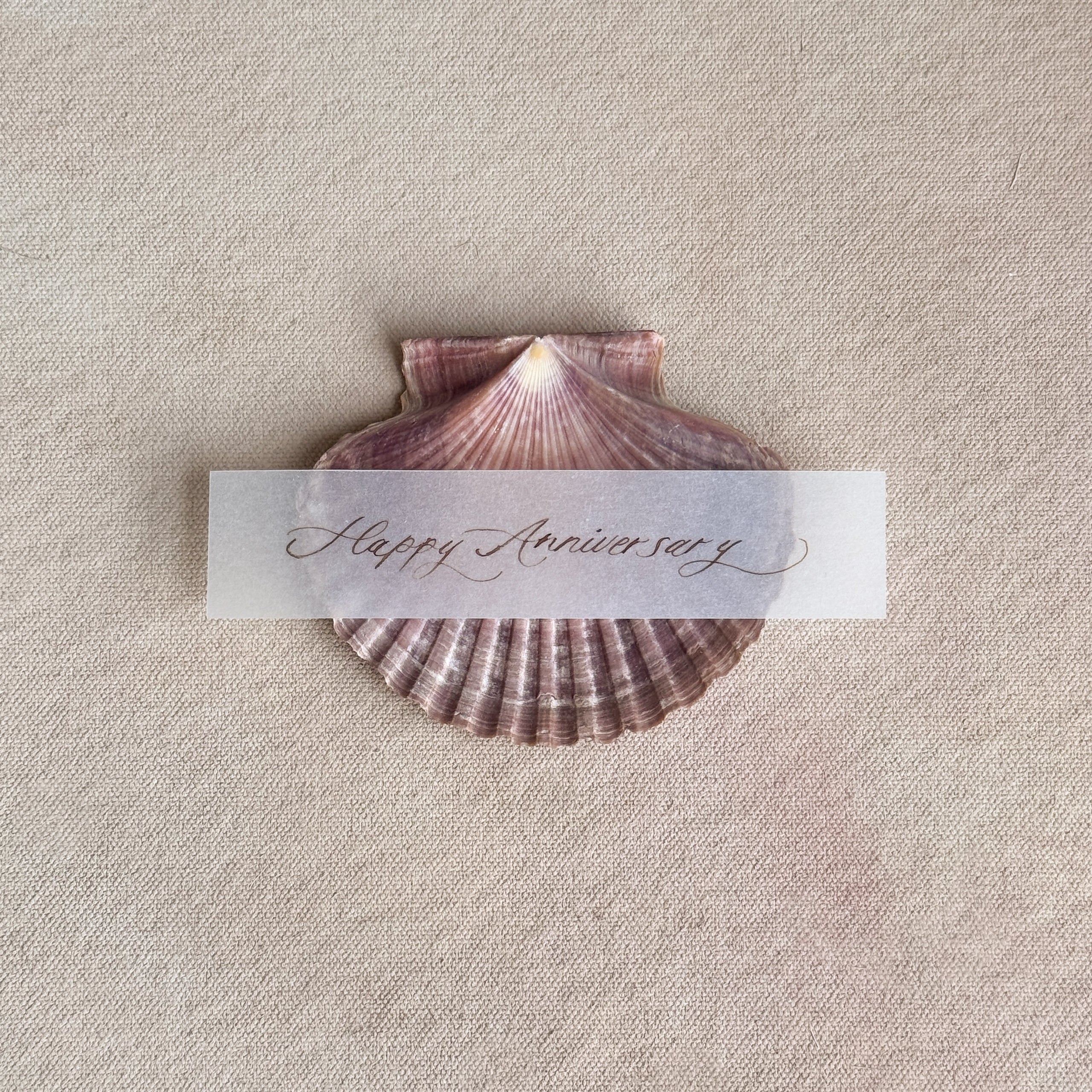 Love Note Shell Stand