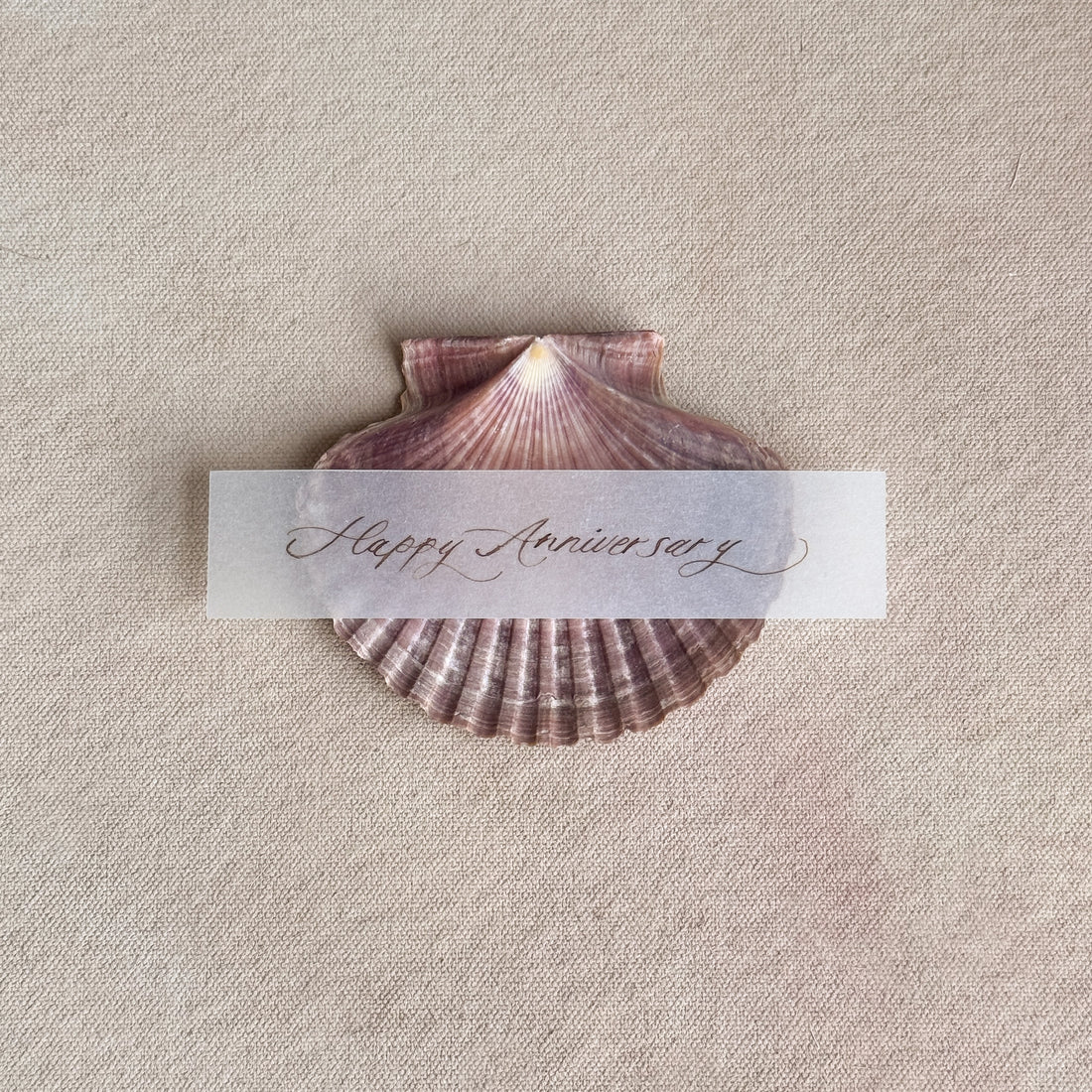 Love Note Shell Stand