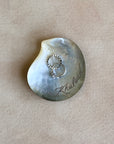 Shell Jewelry Dish